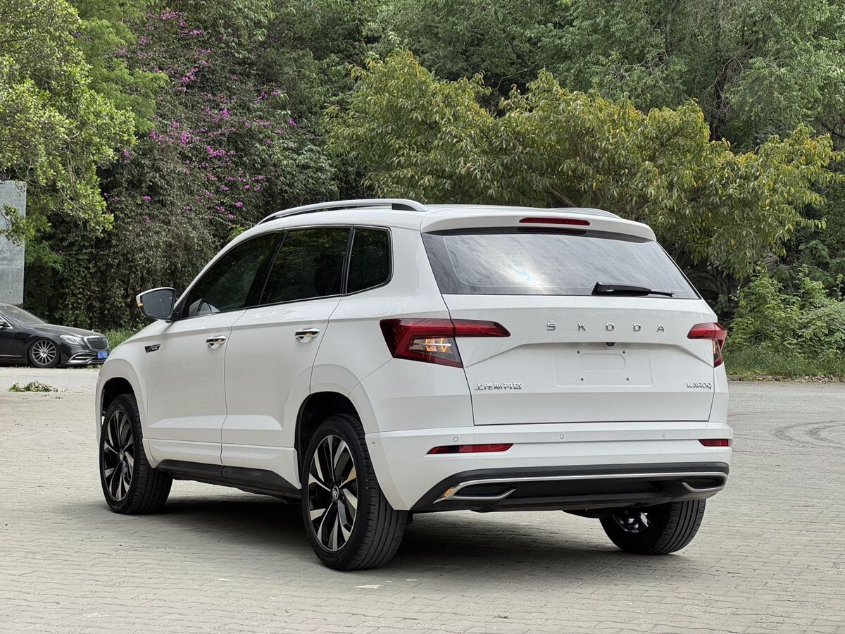 Skoda Karoq 2022 - фото автомобиля