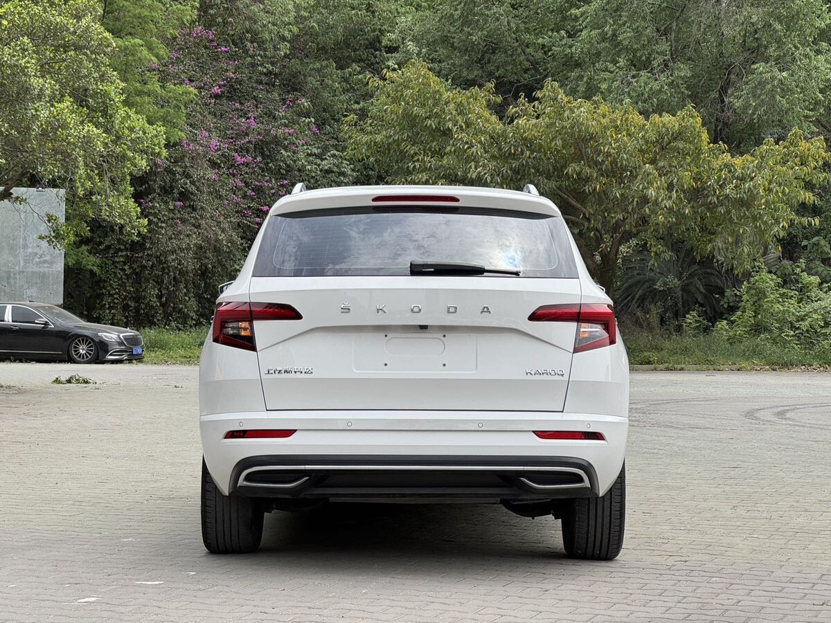 Skoda Karoq 2022 - фото автомобиля