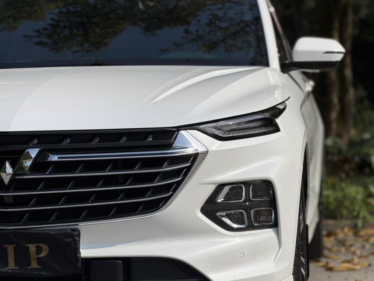 Wuling Victory 2021 - фото автомобиля