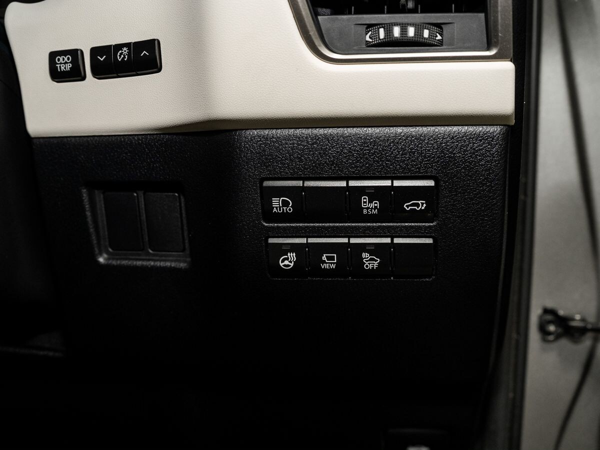 Lexus NX300h 2019 - фото автомобиля