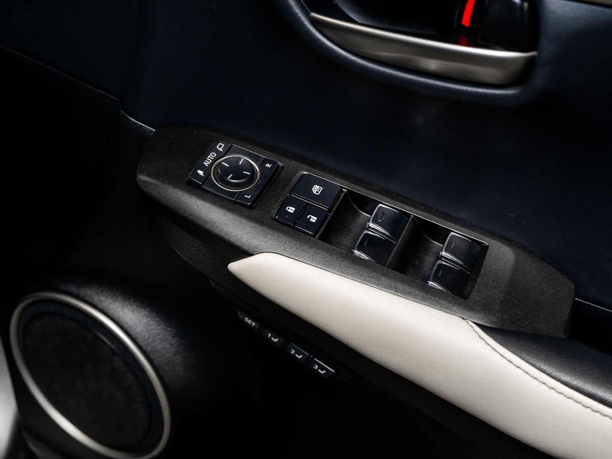 Lexus NX300h 2019 - фото автомобиля