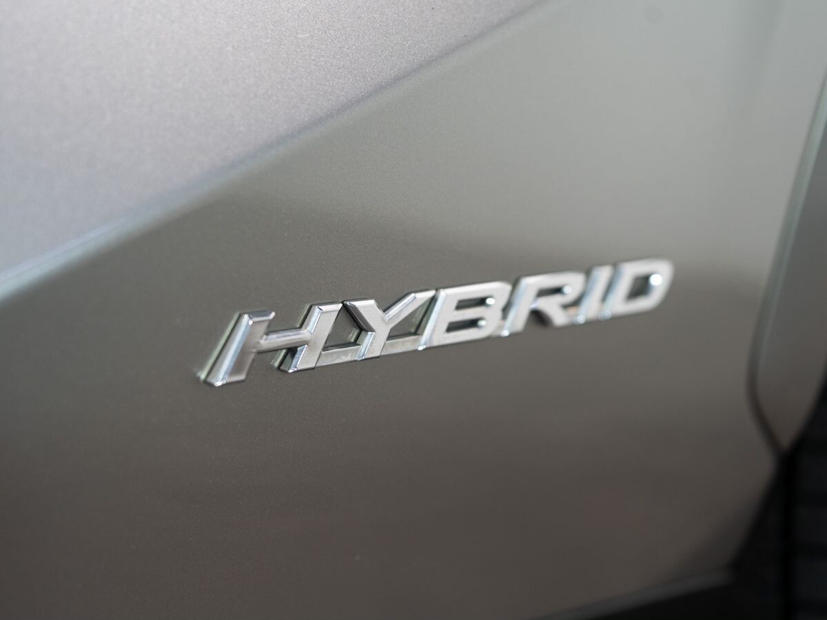 Lexus NX300h 2019 - фото автомобиля