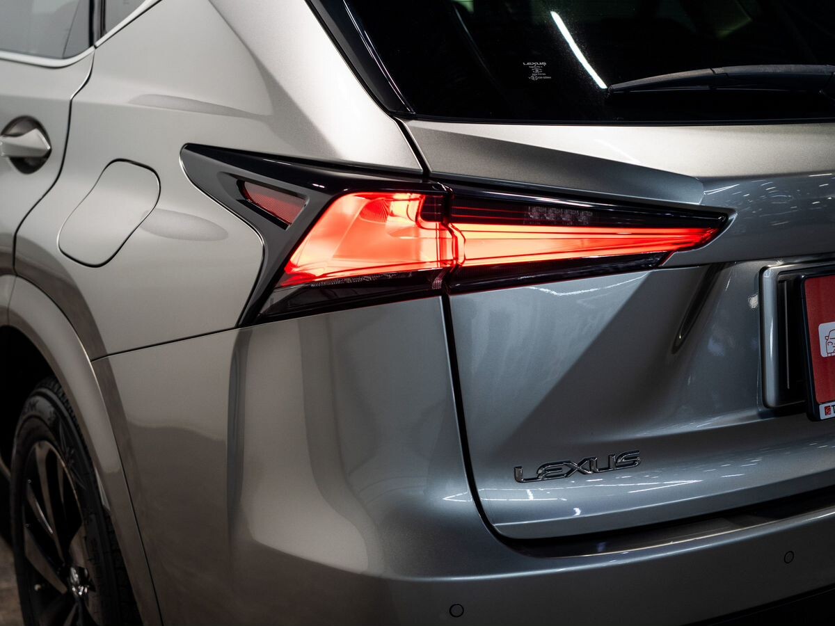 Lexus NX300h 2019 - фото автомобиля