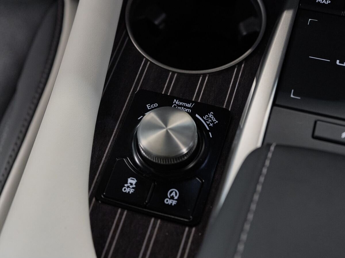 Lexus RX300 2021 - фото автомобиля