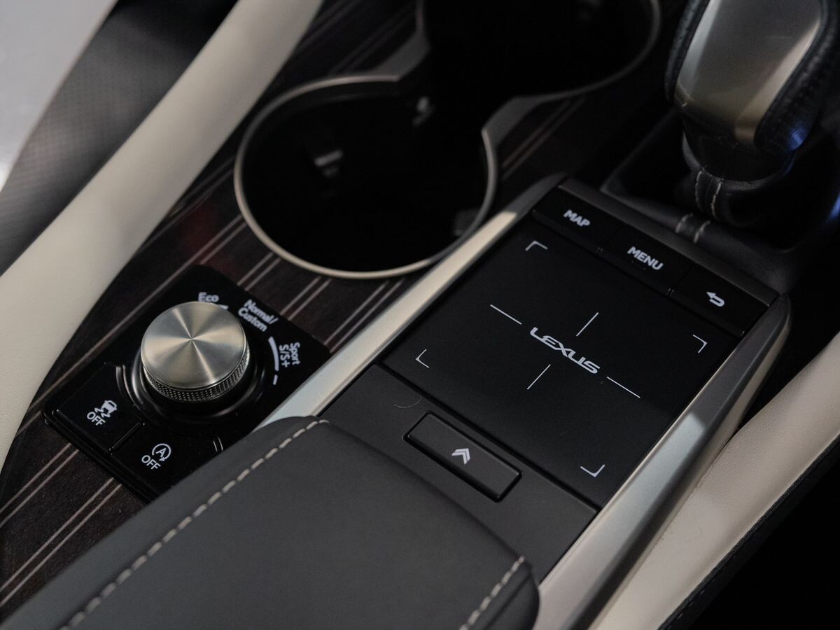 Lexus RX300 2021 - фото автомобиля