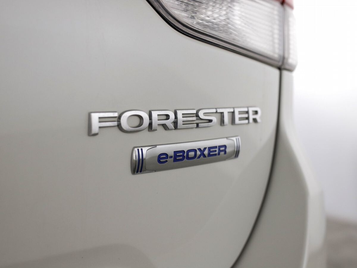 Subaru Forester 2019 - фото автомобиля