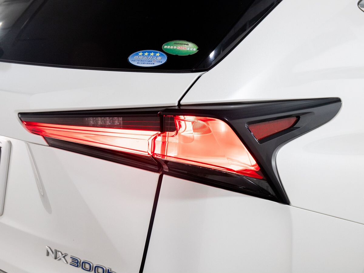 Lexus NX300h 2018 - фото автомобиля