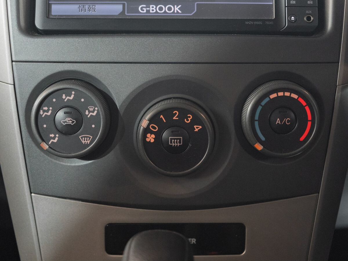 Toyota Corolla Fielder 2009 - фото автомобиля