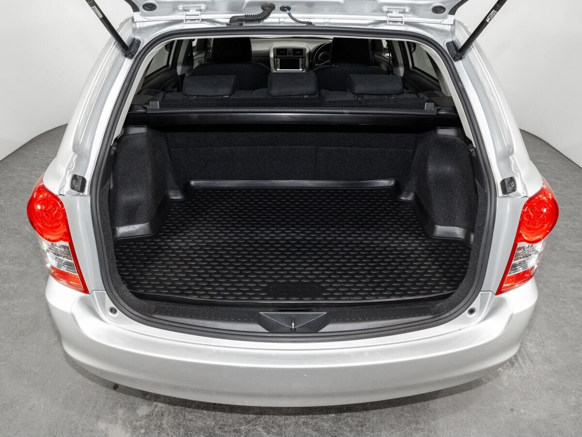 Toyota Corolla Fielder 2008 - фото автомобиля