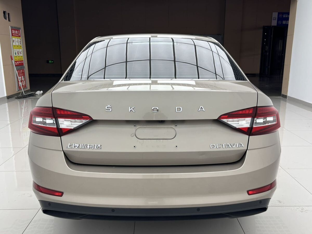 Skoda Octavia 2022 - фото автомобиля