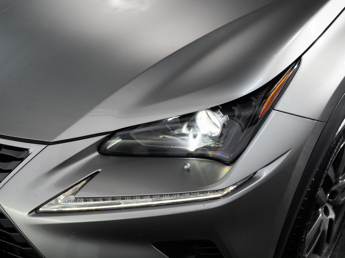 Lexus NX300 2017 - фото автомобиля
