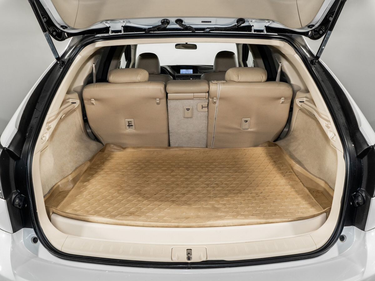 Lexus RX270 2010 - фото автомобиля