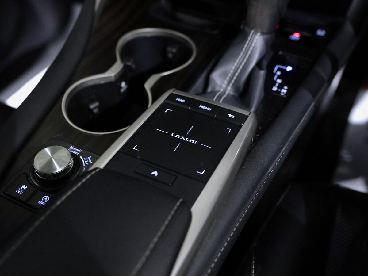 Lexus RX300 2019 - фото автомобиля
