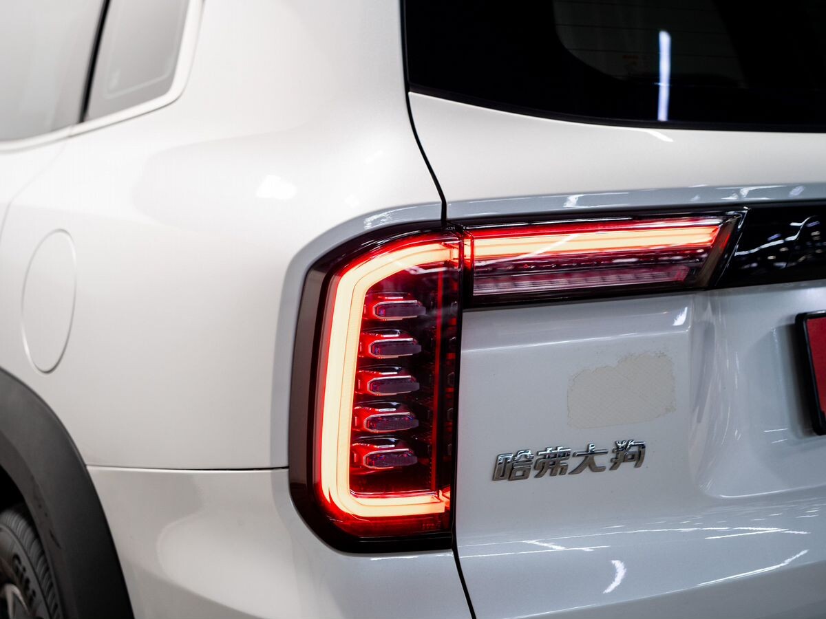Haval Dargo 2022 - фото автомобиля