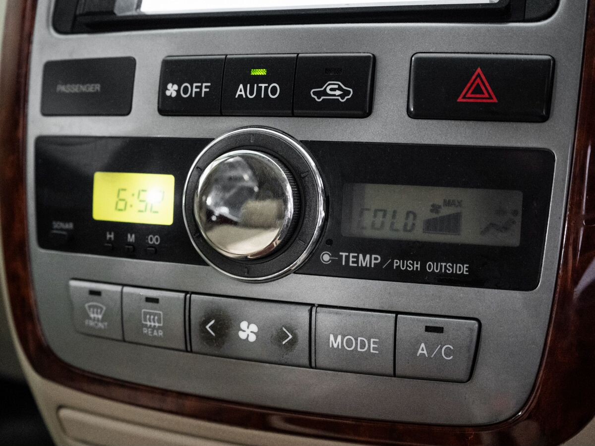 Toyota Ipsum 2002 - фото автомобиля