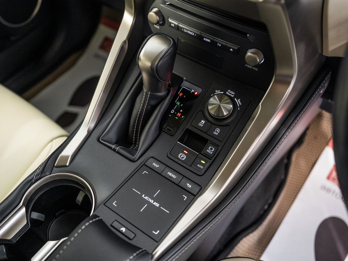 Lexus NX300 2019 - фото автомобиля