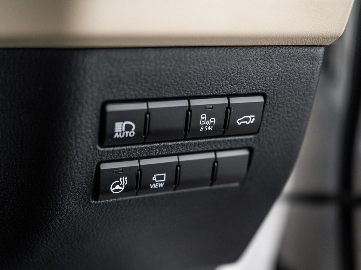 Lexus NX300 2019 - фото автомобиля