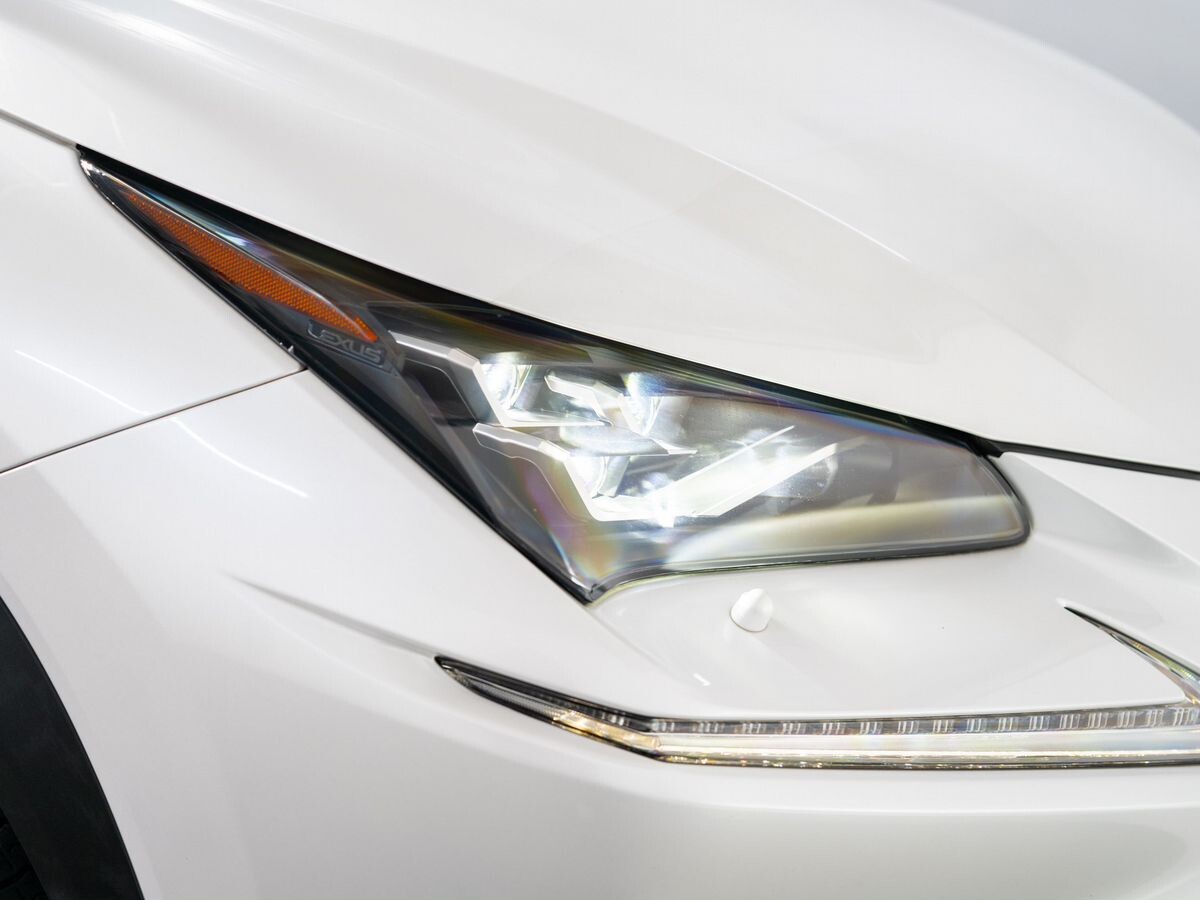 Lexus NX300 2019 - фото автомобиля