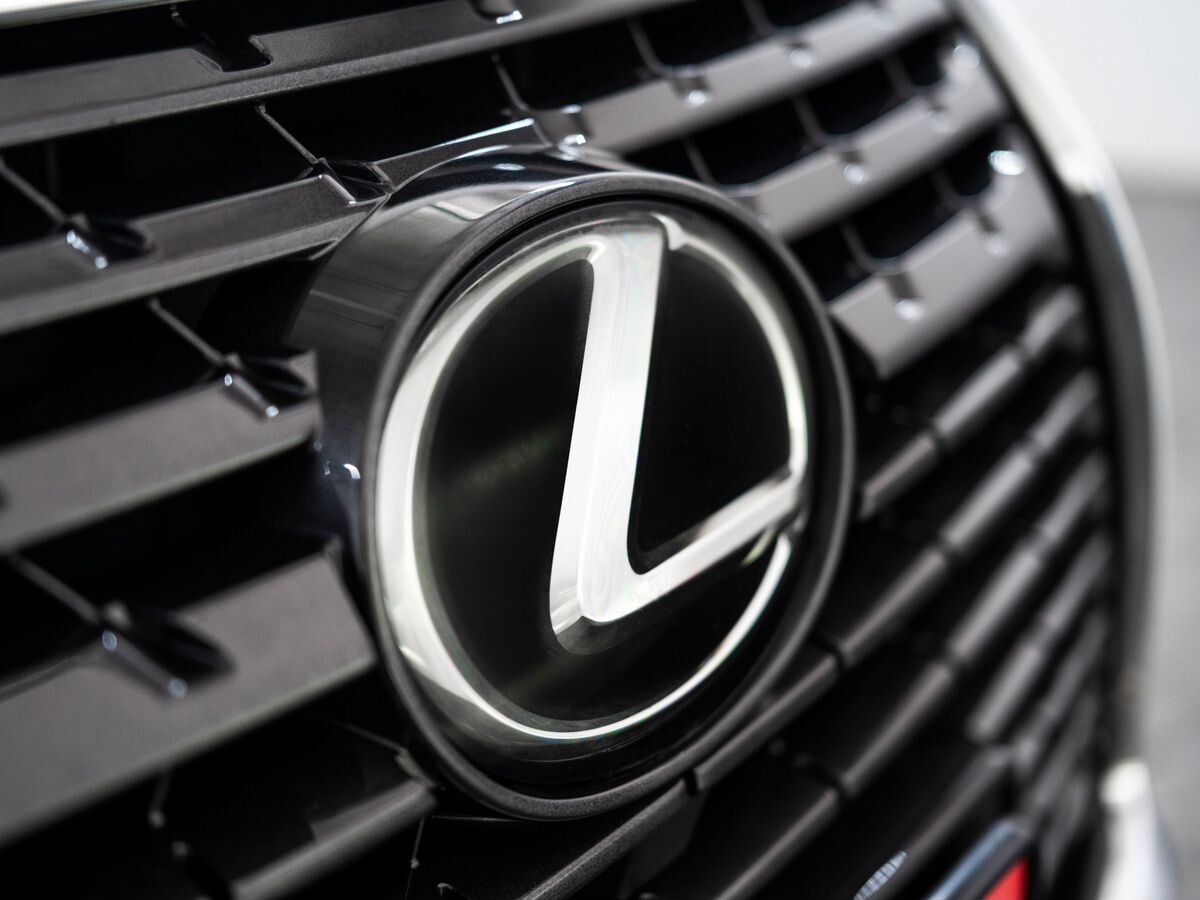 Lexus NX300 2019 - фото автомобиля