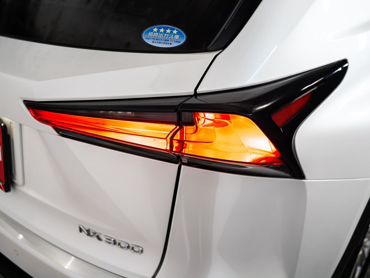 Lexus NX300 2019 - фото автомобиля