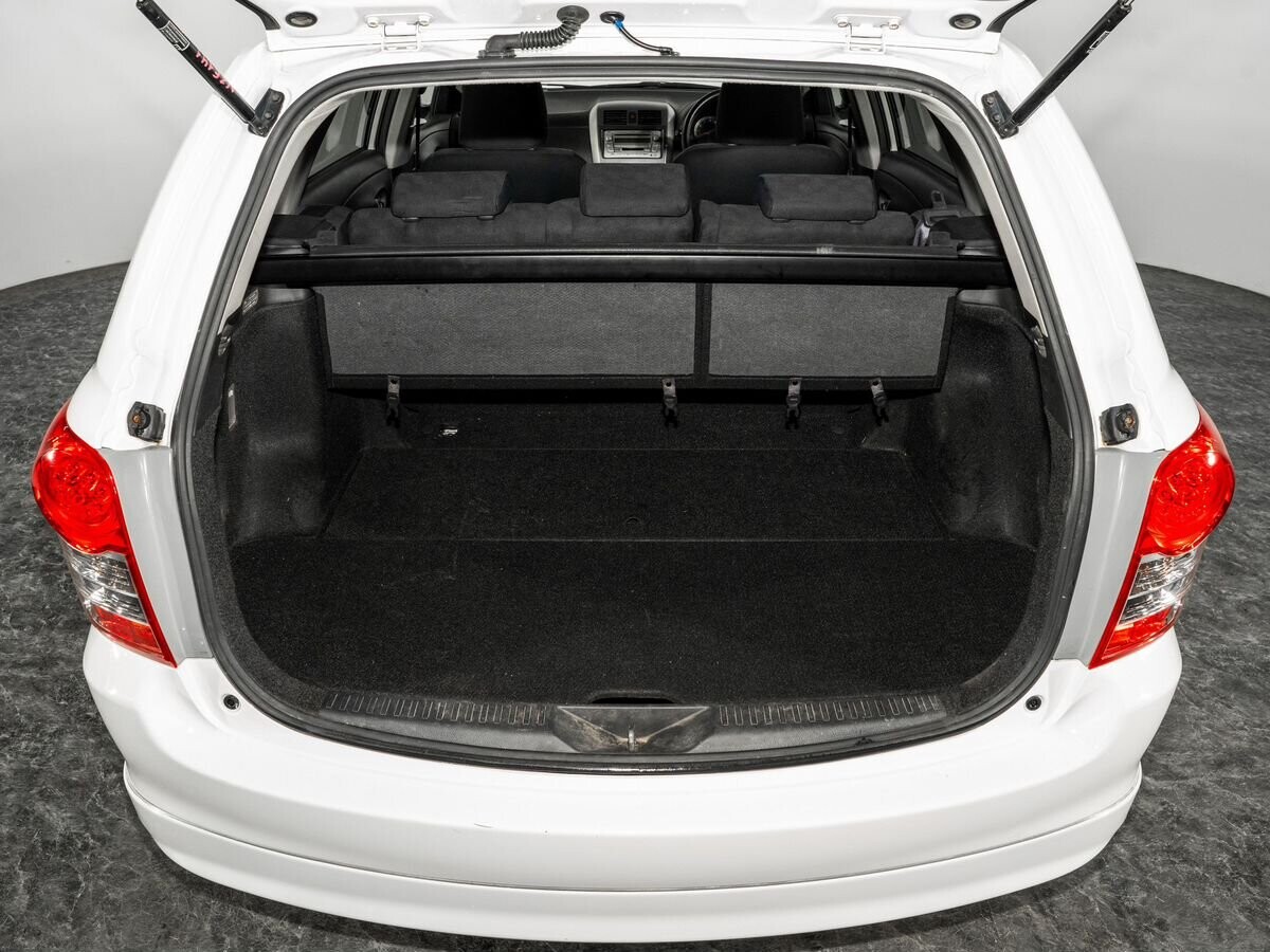 Toyota Corolla Fielder 2009 - фото автомобиля