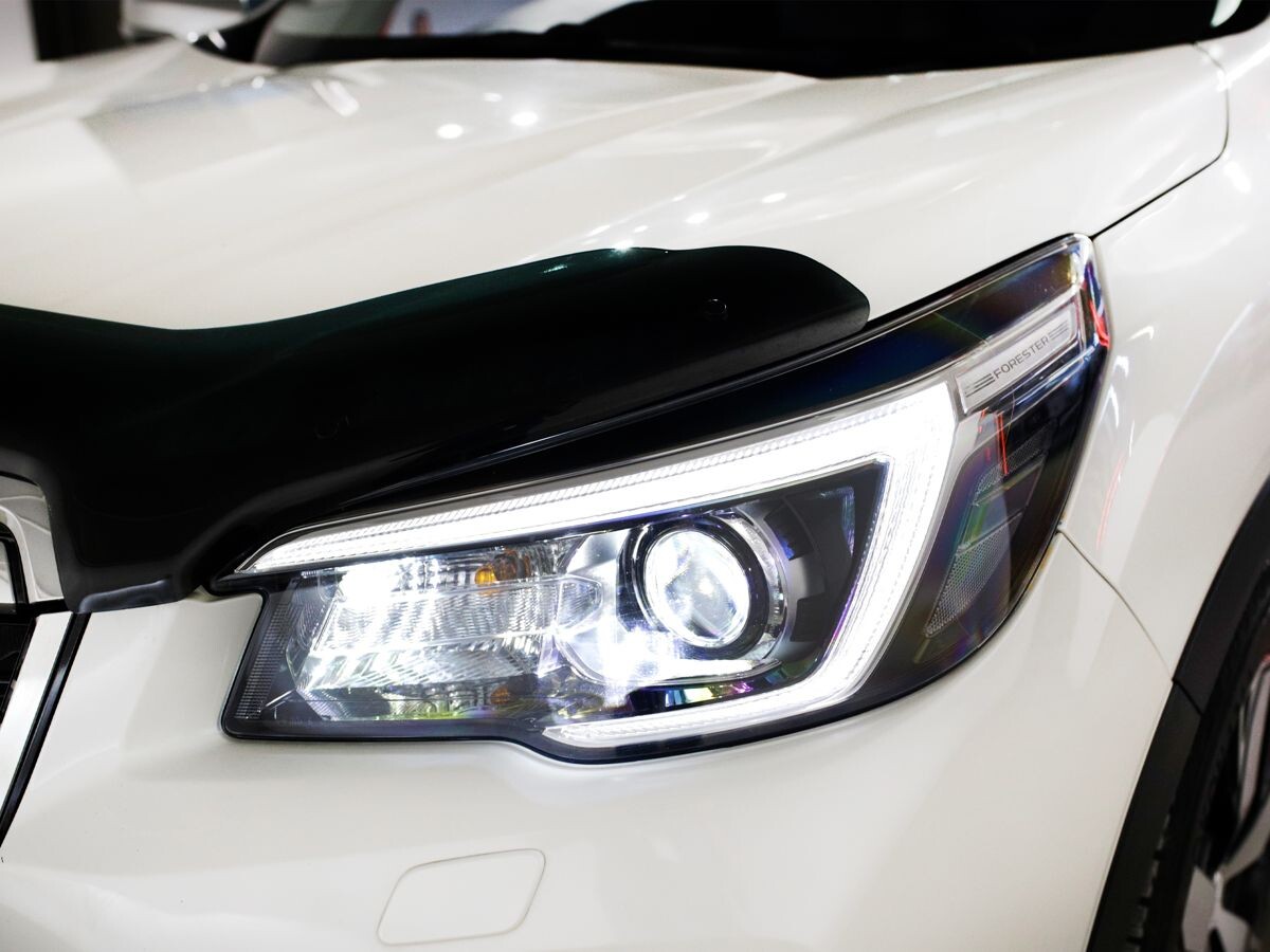 Subaru Forester 2019 - фото автомобиля