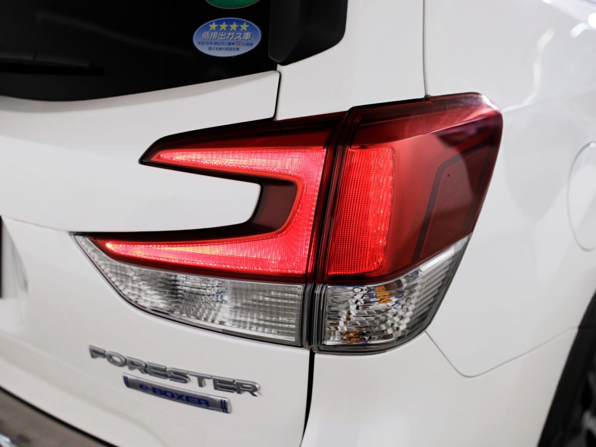 Subaru Forester 2019 - фото автомобиля